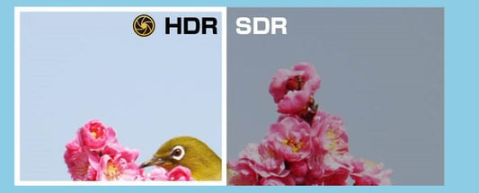 HDRとは?モニターのHDRについて簡単に解説