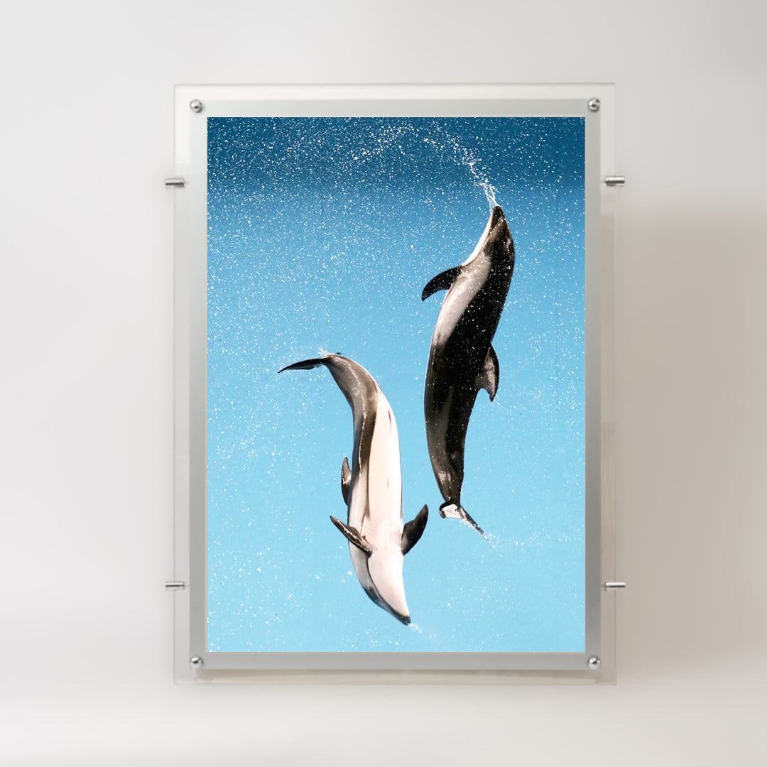 Acrylic Frame LED Light Panel - Both Sides