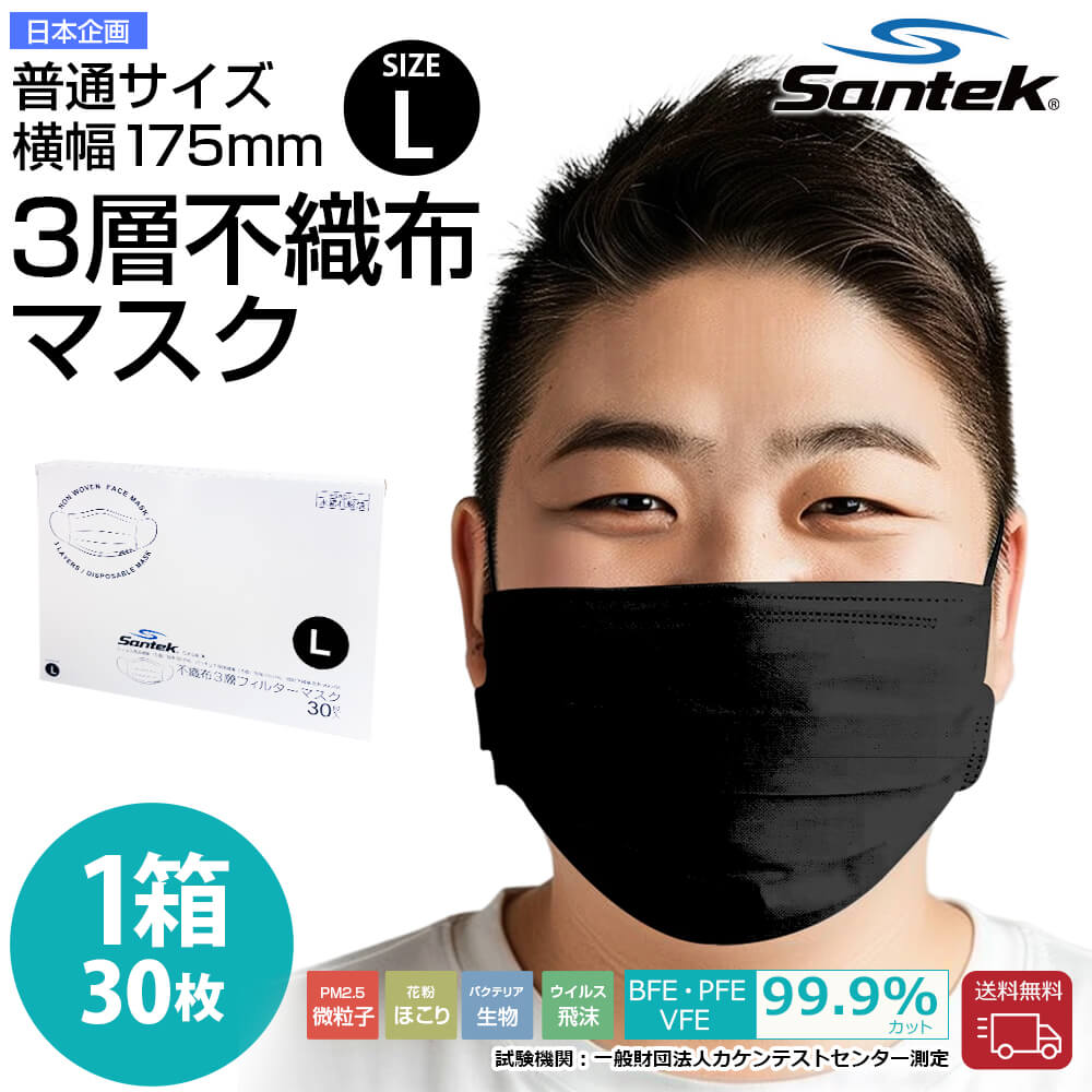 不織布マスク 30枚入り 黒(M/Lサイズ)