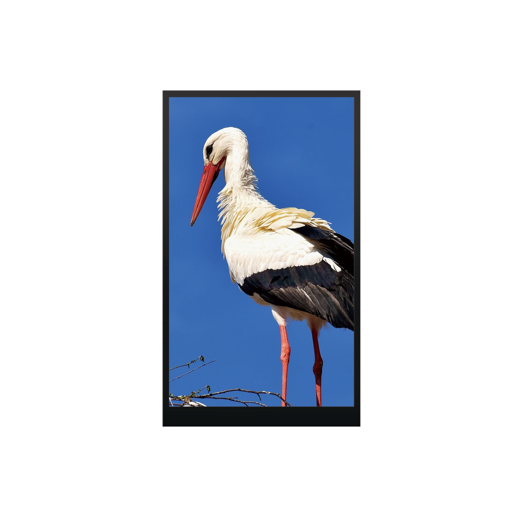 SSTO3406ページ Amazon.co.jp: ニッチプラス(Niche Plus)個包装 使い捨て プラスチック