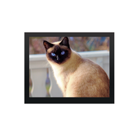 5.6" TFT LCDモジュール (640 x 480) [ST0560I9W-RSLW-F]