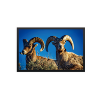 10.1" 超高輝度 TFT LCDモジュール (1280 x 800 / WXGA) 静電容量タッチパネル付き [ST1010H4WCYOL-RSHLW-C]