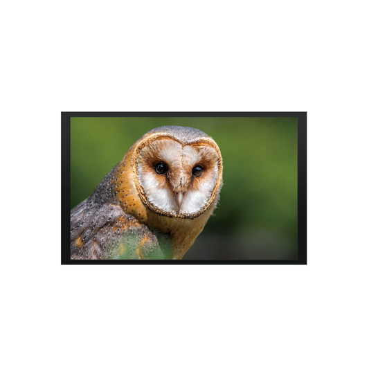 10.2" TFT LCD Module (800 x 480) [ST1020I3W-RSLW-F2]