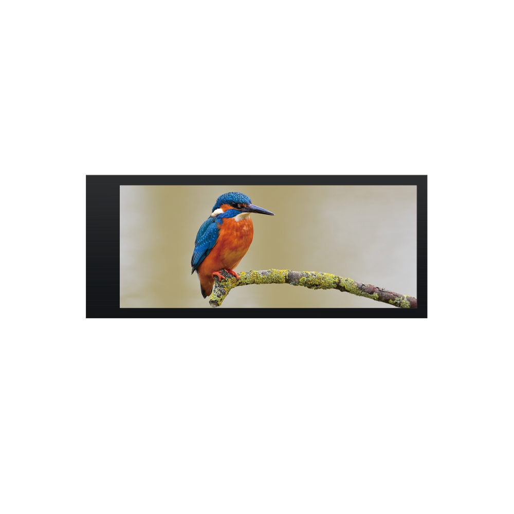 10.25" Ultra-Bright Bar-type TFT LCD Module (1920 x 720) [ST1025I1W-RSMLW-C] Sunlight Readable